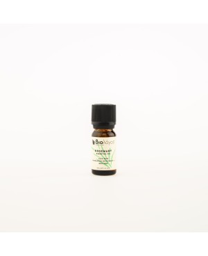 ROSEMARY ESSENTIAL OIL BIOLOGOS (10ml)