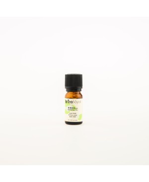 BIRCH ESSENTIAL OIL BIOLOGOS (10ML)