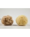 Fine Silk Natural Sea Sponge from Kalymnos Island-Greece